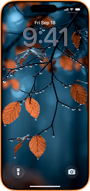 Wallpaper preview on iPhone 17 Pro Max running iOS 26 - Dewy Autumn Branches