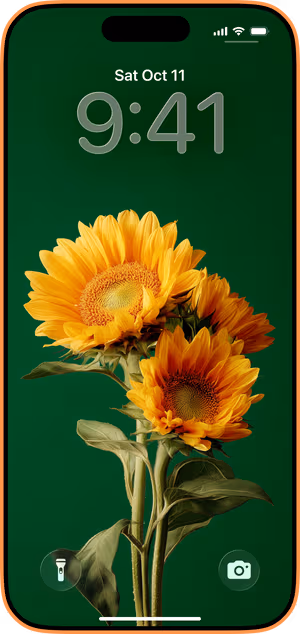 Wallpaper preview on iPhone 17 Pro Max running iOS 26 - emerald sunflowers