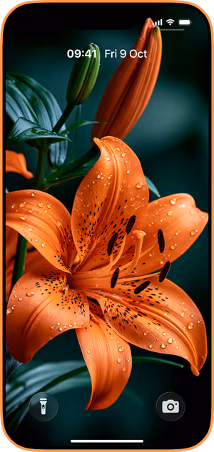 Wallpaper preview on iPhone 17 Pro Max running iOS 26 - Dewy Orange Lily Macro
