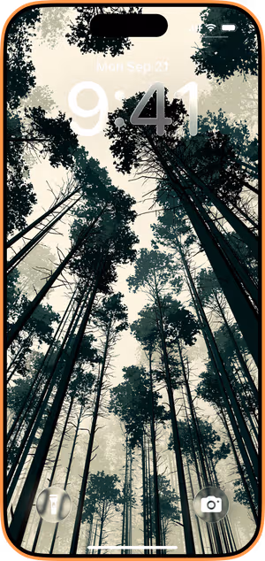 Wallpaper preview on iPhone 17 Pro Max running iOS 26 - Moody Forest Canopy