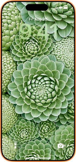 Wallpaper preview on iPhone 17 Pro Max running iOS 26 - Green Succulent Rosette Macro