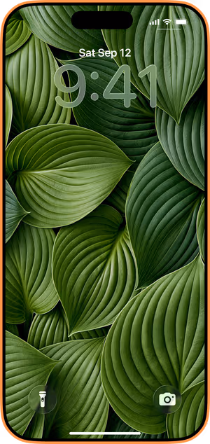 Wallpaper preview on iPhone 17 Pro Max running iOS 26 - Lush Green Hosta