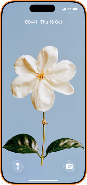 Wallpaper preview on iPhone 17 Pro Max running iOS 26 - White Flower Blue Botanical