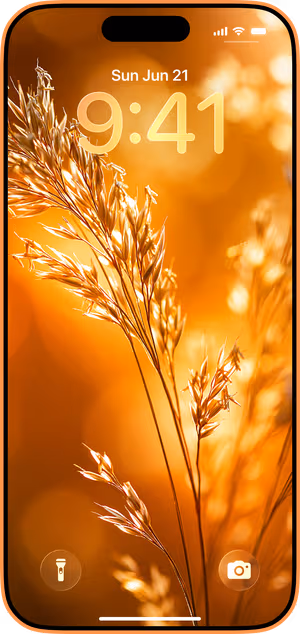 Wallpaper preview on iPhone 17 Pro Max running iOS 26 - Sunlit Golden Grass