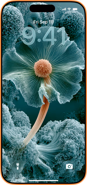 Wallpaper preview on iPhone 17 Pro Max running iOS 26 - Teal Macro Bloom Texture