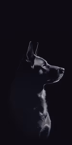 Minimalist side lit dog silhouette centered on a black background in a moody, minimalist aesthetic ultra hd image.