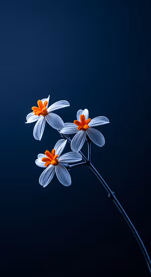 Minimalist white flowers centered on a deep blue background in a minimalist aesthetic.