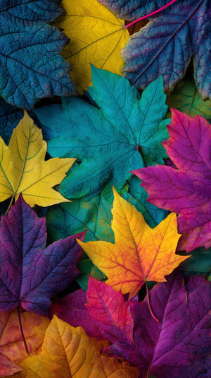 Autumn Leaves Kaleidoscope