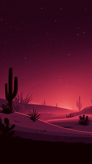 Stylized desert landscape with silhouetted cacti and rolling dunes under a glowing magenta sunset sky with stars.