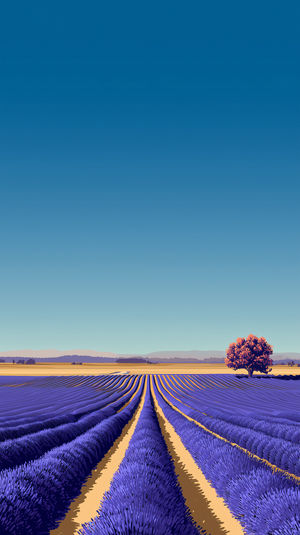 Rows of blooming lavender in a vast field at dawn, leading to a solitary tree under a clear blue sky.