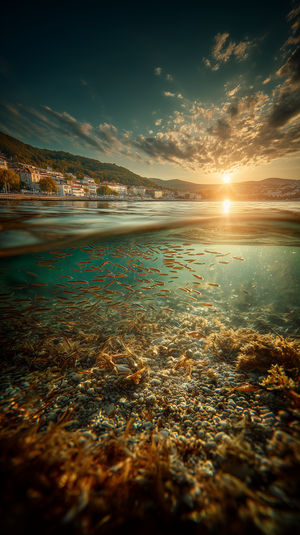Golden sunrise glows over a seaside town while sunlight illuminates a school of fish swimming above seabed and seaweed.