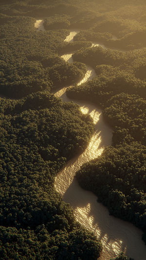 Sunlit River Through Forest