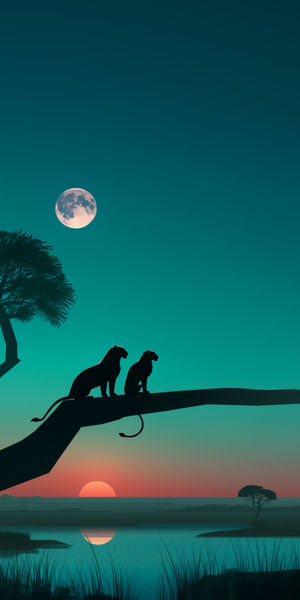 Moonlit Cheetah Tree Silhouette - Download HD iPhone Lock Screen Wallpaper