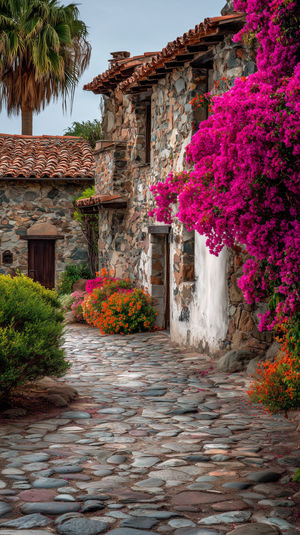 Cobblestone path leading to a rustic stone cottage adorned with vibrant pink bougainvillea and lush green foliage.