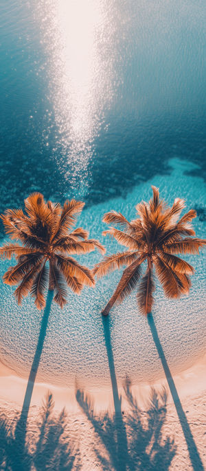 Bird's-eye view of two orange-tinted palm trees on white sand, casting shadows beneath the sunlit, turquoise ocean surface.