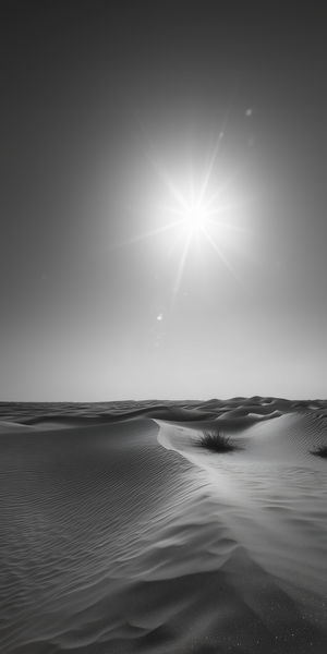 Black and white photograph of vast desert sand dunes with rippled textures under a blazing sun.