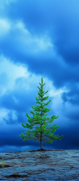 A lone vibrant green pine tree grows on a rocky outcrop under a stormy blue sky.