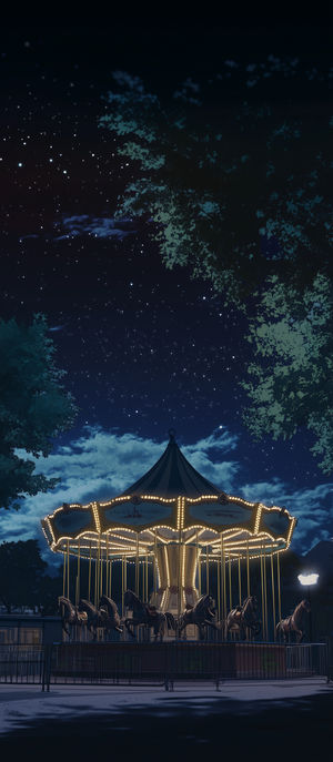 Carousel Under Starry Sky