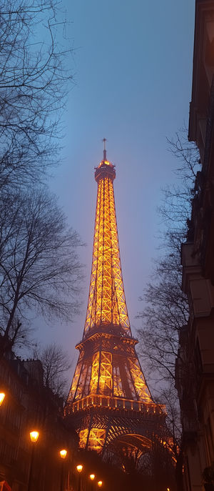Nighttime view of the Eiffel Tower in Paris illuminated by golden lights, framed by bare trees and street lamps.