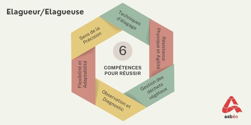 Compétences du métier