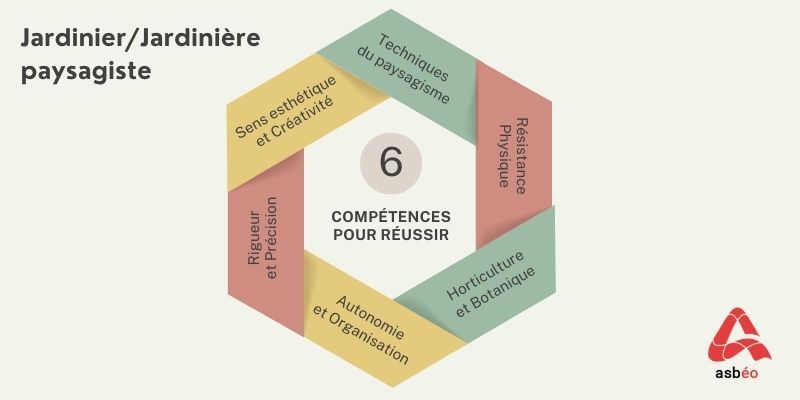 Compétences du métier