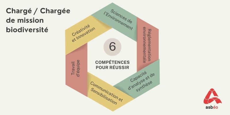 Compétences du métier