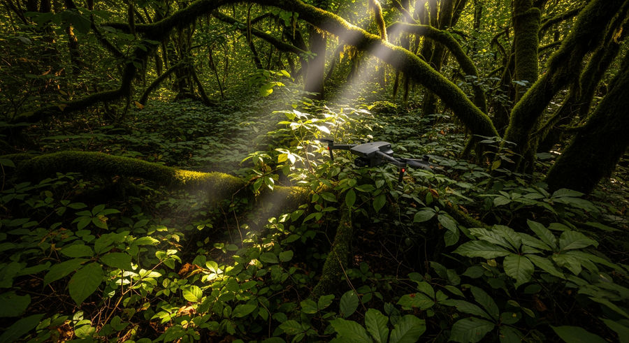 Drone blending into forest environment with natural foliage