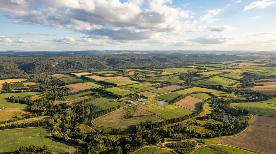 Pilot region with agricultural fields and forest under open sky