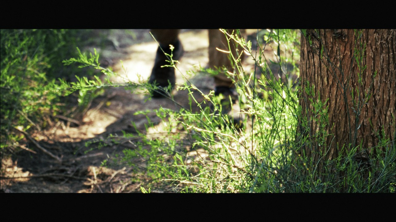 Piedi che camminano su un sentiero — fotogramma dal video Opera Rotas Anno I