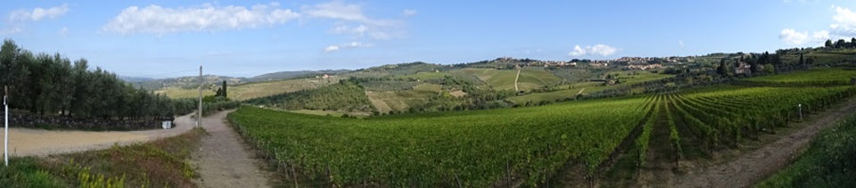 Italy Travel Agent Australia, exploring the rolling hills of Tuscany