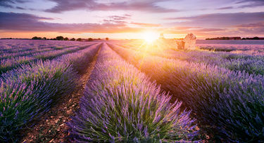 Walking the South of France: South of France Destinations Walking the South of France: South of France Destinations
