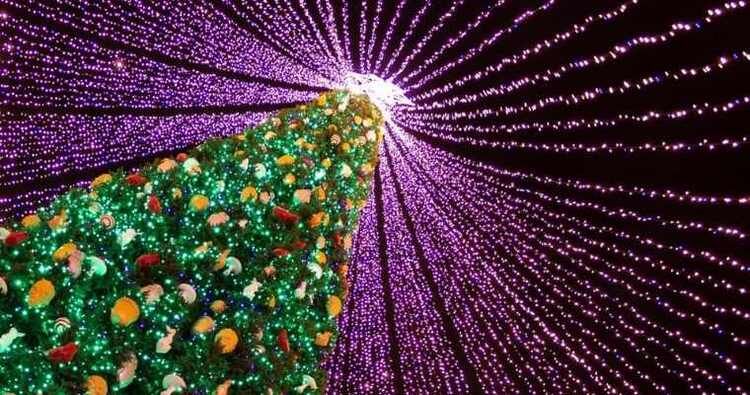 Christmas Trees Around the World Christmas Trees Around the World