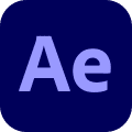 Asset