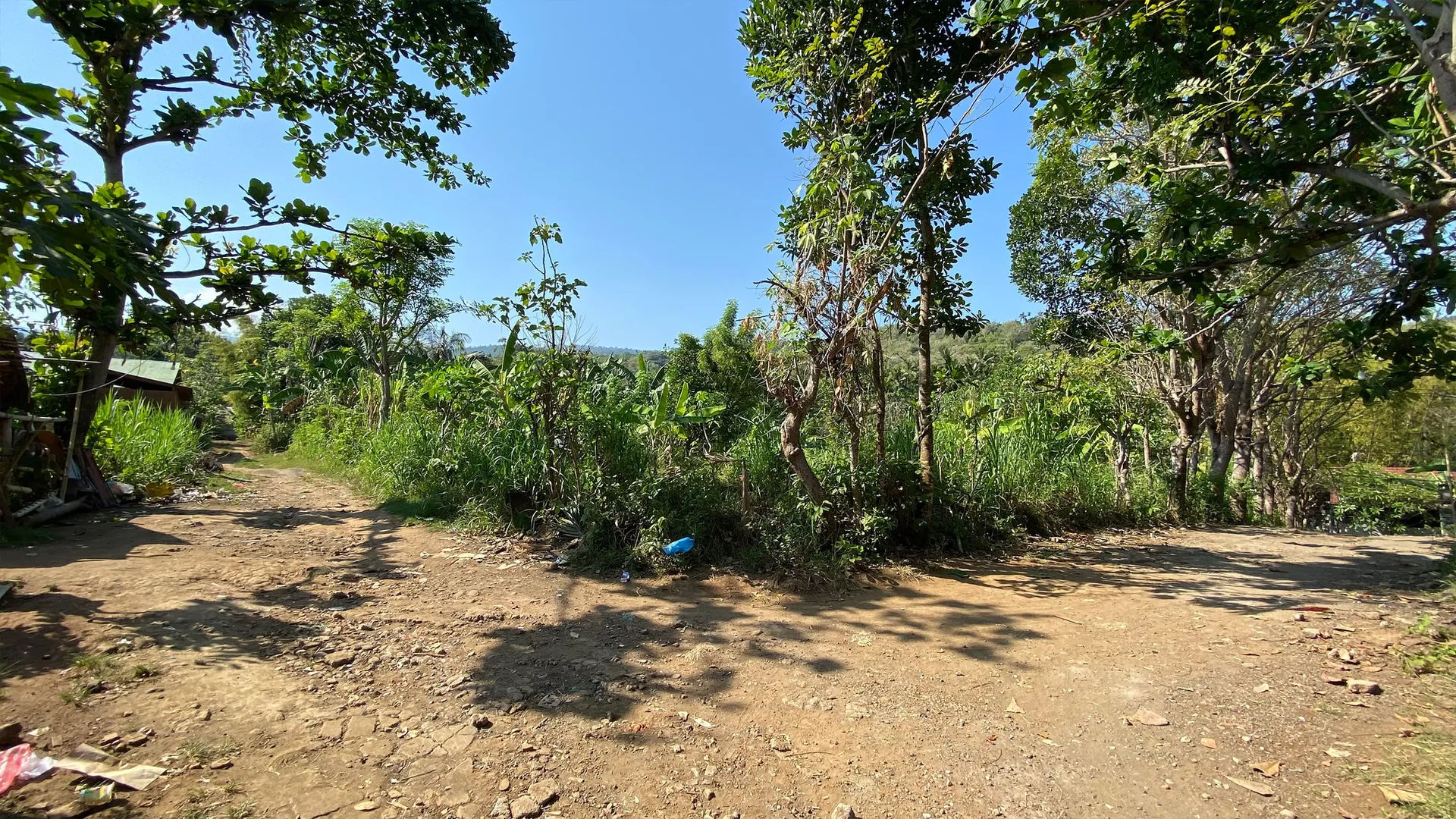 Tanah Pinggir Jalan di Kaliasem - 10