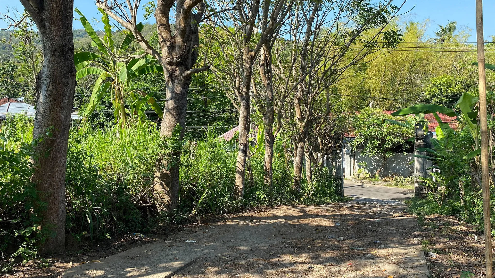 Tanah Pinggir Jalan di Kaliasem - 7