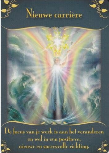 Nieuwe carriere