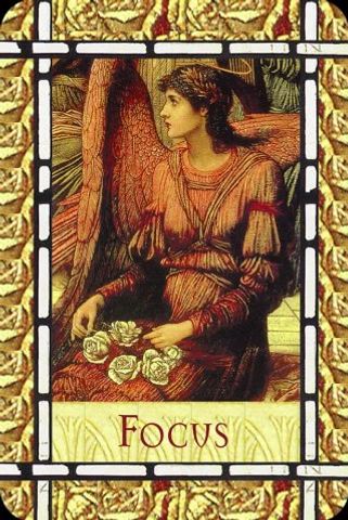 Focus