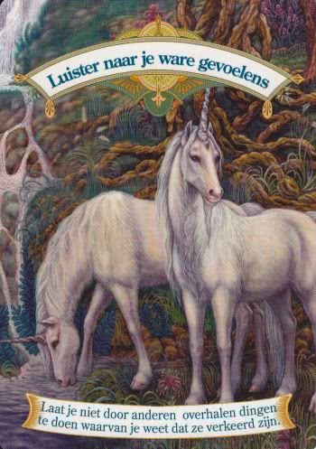 Luister naar je ware gevoelens