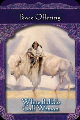 Witte Buffel Kalf Vrouw