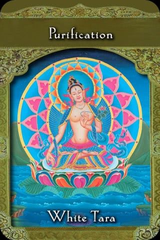 Witte Tara