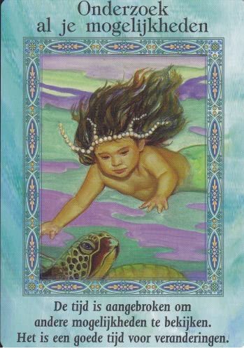 Onderzoek al je mogelijkheden