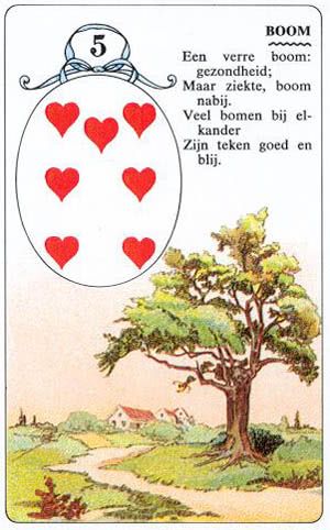 Lenormandkaart De Boom - betekenis en combinaties