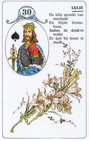 Lenormandkaart De Lelie