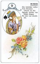 Lenormandkaart De Ruiker