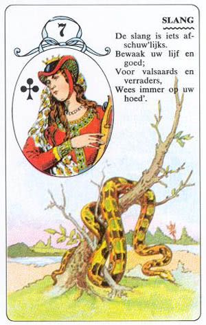 Lenormandkaart De Slang - betekenis en combinaties