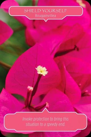 Bescherm jezelf - Bougainvillea