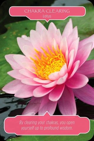 Chakra reiniging - Lotus