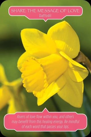 Deel de liefdesboodschap - Narcis