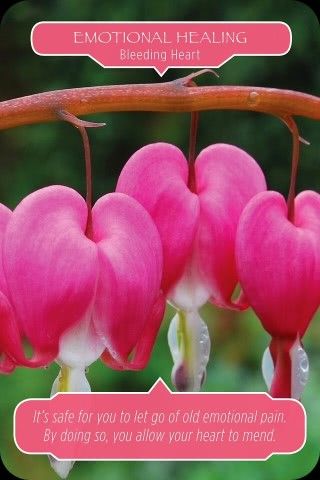 Emotionele heling - Gebroken Hartje