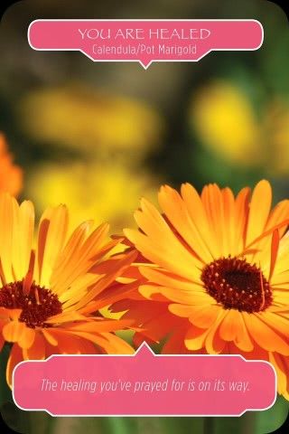 Je bent geheeld - Goudsbloem